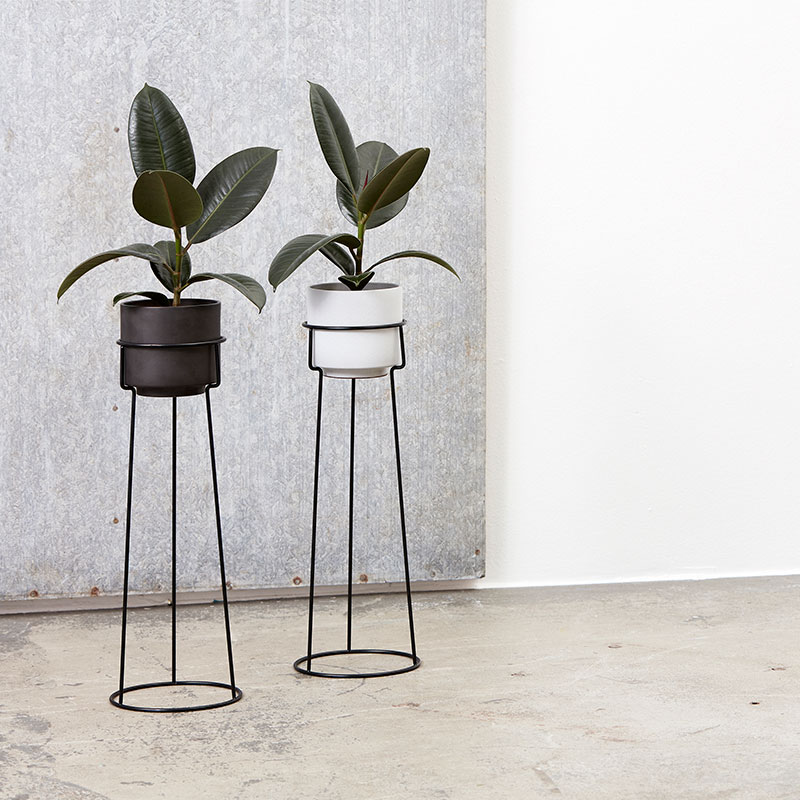 A Plant Pot + Stand